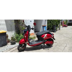 E-bike (NWOW Turtle King TK10)