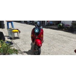 E-bike (NWOW Turtle King TK10)