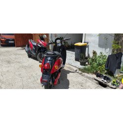 E-bike (NWOW Turtle King TK10)