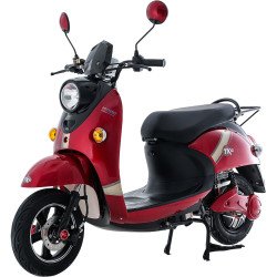 E-bike (NWOW Turtle King TK10)