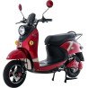 E-bike (NWOW Turtle King TK10)